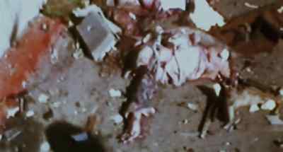 Viewing the bodies
mutilated beyond recognition, - Faces of Death