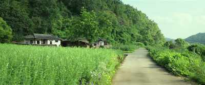 Village chief here. - Little Forest