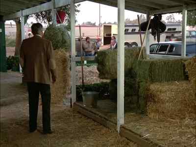 Vince Shackman?
This is a surprise. - Murder, She Wrote