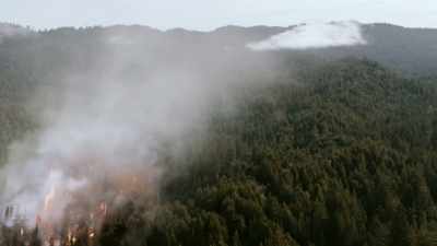 VINCE:
Spot fires are popping off. - Fire Country
