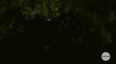 VINSON: Helicopter
searchlight - - Girl in the Bunker