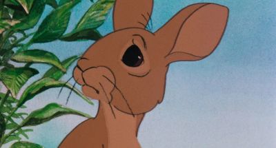 Violet's gone - Watership Down