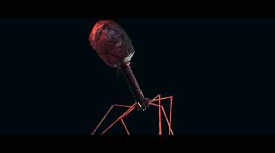 -Viruses are very simple
lean machines. - Human Nature