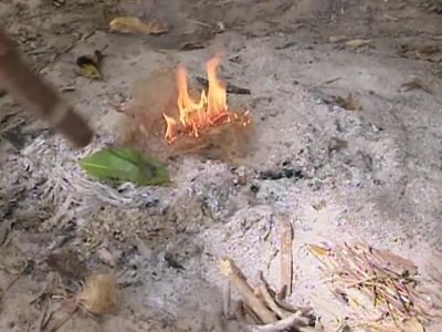 Viva, I got fire! - Survivor