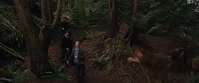 CARLlSLE Vladimir Stefanyou're a long way from homeWhat are they doing hereWe heard the Volturi were moving against youBut that you would not stand aloneWe didn't do what we were accused ofWe do not care what you did CarlisleWe have been waiting a - The Twilight Saga: Breaking Dawn   Part 2
