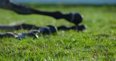 Vladivostok having a heavy fall
after the winning post. - Ride Like a Girl