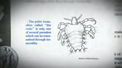 [Voice] Fornicator, lust, lechery,
perversion. The pubic louse. - Shiny Happy People: Duggar Family Secrets