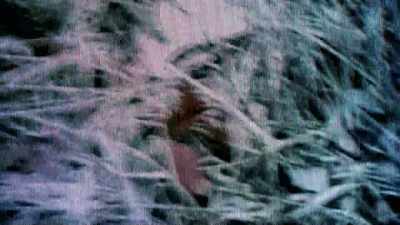 (voice-over):
So then they wanted me to say, - Resynator