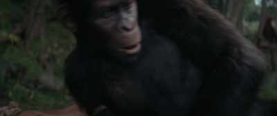 [voice yells indistinctly] - Kingdom of the Planet of the Apes