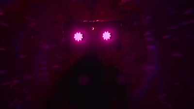 (Voices echoing faintly) - The Last Video Store