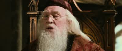 Voldemort. - Harry Potter and the Chamber of Secrets