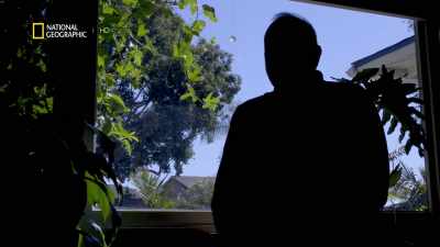 Volunteers have been paid $75 - America's War on Drugs