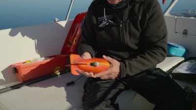 Voor het eerst, filmen deze tags... - Return of the White Shark