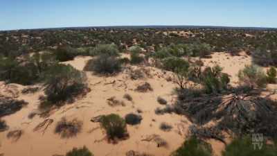 'Voss' mythologises this vast place, - Books That Made Us
