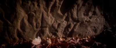 W-W-What do you actually know
about the caves in this video? - Razzennest