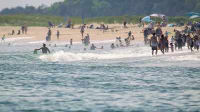 Waarschijnlijk een
van de populairste op Cape Cod... - Return of the White Shark