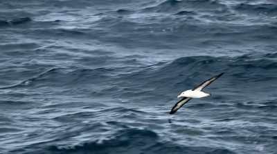 Wade: Drinking seawater
can be deadly to humans - Mysteries of the Deep