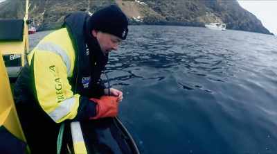 Wade: One critical factor
suggests not. - Mysteries of the Deep