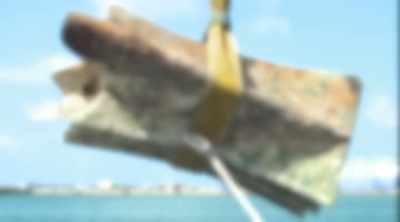 Wade:
STUNNED MARINE ARCHAEOLOGISTS - Mysteries of the Deep