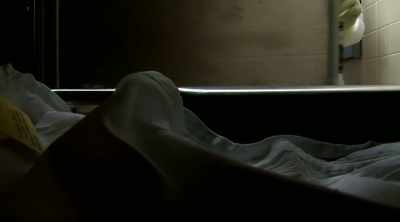 Wade: The autopsy report
raises many questions. - Mysteries of the Deep
