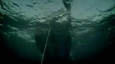 Wade: The kraken has always
been assumed to be a myth, - Mysteries of the Deep