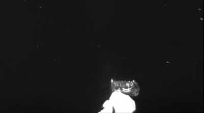 Wade:
This extraordinary footage,
captured by dr. Widder's team - Mysteries of the Deep
