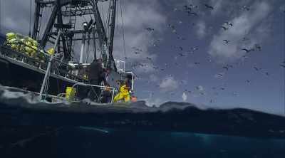Wade: This, it turns out,
is exactly what - Mysteries of the Deep