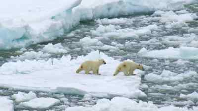 Wading through icy water
is now a necessity. - Predators