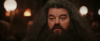 Wait a minute.Got it here somewhere. - Harry Potter and the Philosopher's Stone