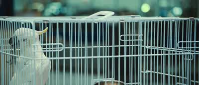 Wait a minute. - Iron Man 2