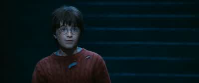 Wait a minute.- You understand right, Harry. - Harry Potter and the Philosopher's Stone