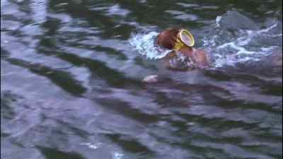 Wait, Baxter.
Ease up. - Flipper