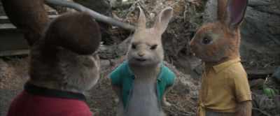 Wait, you both know
that I'm the oldest, right? - Peter Rabbit