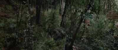 - Wait.
- Deal's off, lady. - Romancing the Stone