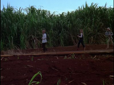 WAIT FOR ME, JULIE MAE. - Hawaii Five-O