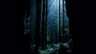 Wait. He might
not be alone. - Grimm