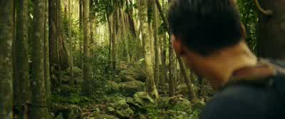 Wait here. - Kong: Skull Island