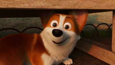Wait, I have good news for you. Apparently ... - The Queen's Corgi