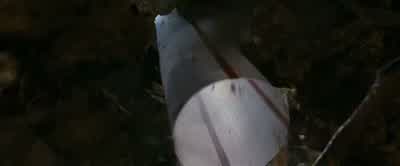 Wait. I-- I think I know what it is. - Arthur and the Invisibles