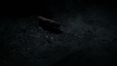 Wait. I need to talk to you. - Outlander