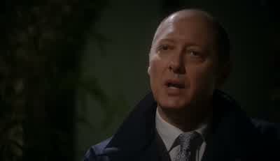 Wait. I will help you. - The Blacklist