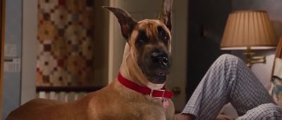 Wait for it Wait for it - Marmaduke