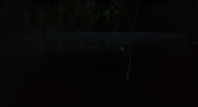 Wait for me! - Call Me by Your Name