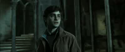 Wait. Please. I want to destroy it. - Harry Potter and the Deathly Hallows: Part 2