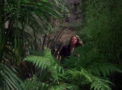 Wait! - The Six Million Dollar Man