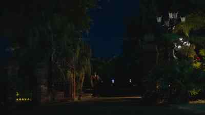 Wait. - The Brokenwood Mysteries