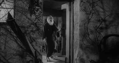 Wait! - Young Frankenstein