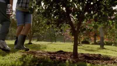 Wait, is that...? - The Brokenwood Mysteries