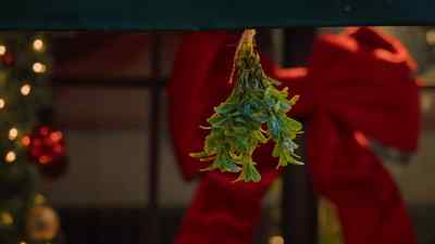 Wait, is that the mistletoe
you said was missing - Santa Tell Me