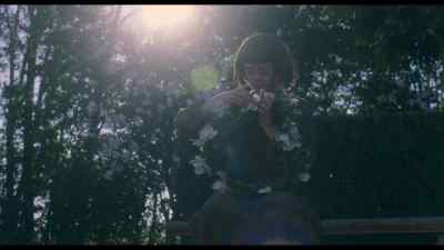 ♪ Wait for the sun, watching the sky ♪ - The Decameron